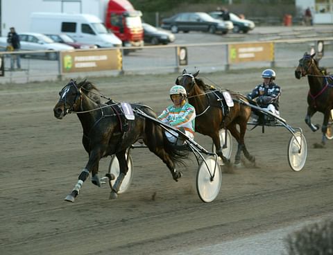 Vuonna 2004 Pearly Hill ravasi muun muassa Arvid Åvallin Tammaderbyn voittoon.