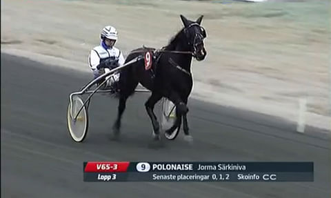 Polonaise ja Jorma Särkiniva rauhallisella lämmittelykierroksella Bodenissa perjantaina.