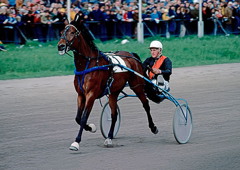 Charme Asserdalin lopullinen läpimurto kotimaiselle huipulle tapahtui Käpylän suurmestaruusraveissa toukokuussa 1977.
