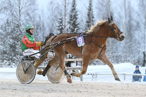 Polara ja Antti Tupamäki Lahdessa tammikuun lopussa.