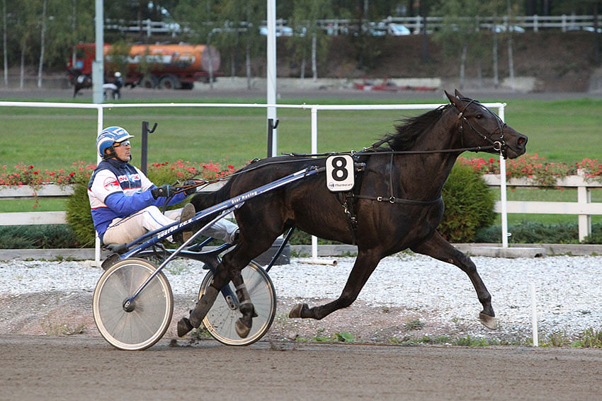 Aikansa derbyfinalisti Swagman palasi parrasvaloihin Killerillä Sara Hautamäen ohjastamana. Kuvassa hevosen rattailla Hannu-Pekka Korpi.