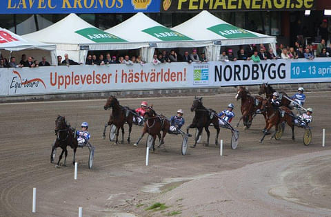 Ratu Royale näytti, mistä suomalaiset hevoset on tehty. Tamma vei tammojen kolmivuotiseliitin ylivoimalla ja voittoajalla 11,0.