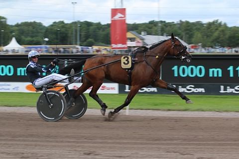 Treasure Kronos tammojen sprintterikisan voittoon Halmstadissa