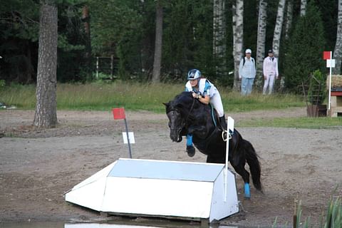 Lotta-Katariina Lehtosen Knuutilan Veikko empi hetken veteen hyppäämistä.