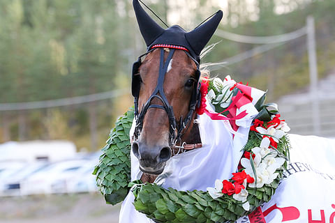 Lokakuussa suomenhevosista eniten ääniä sai kriteriumvoittaja Ellin Sisu.