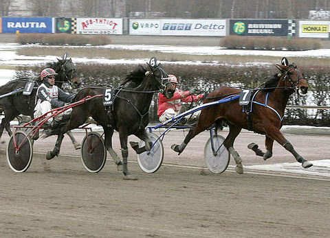 Mellby Plikt voitti 10 vuotta sitten nelivuotiaana Vermossa Harri Koivusen ohjastamana. Siitoksessa tamma on jättänyt jo mm. Hurdy Gurdyn. Gambler Cash on tamman neljäs varsa.