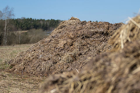Hevosten ja muiden tuotantoeläinten lannanpoltto sallitaan jatkossa ilman jätteenpolttolupaa.