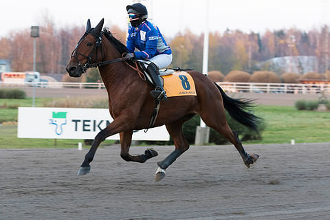 Liisa Nummi (kuvassa Nelilyn Airkingin selässä) ratsastaa Special Envoy U.S.:ää,