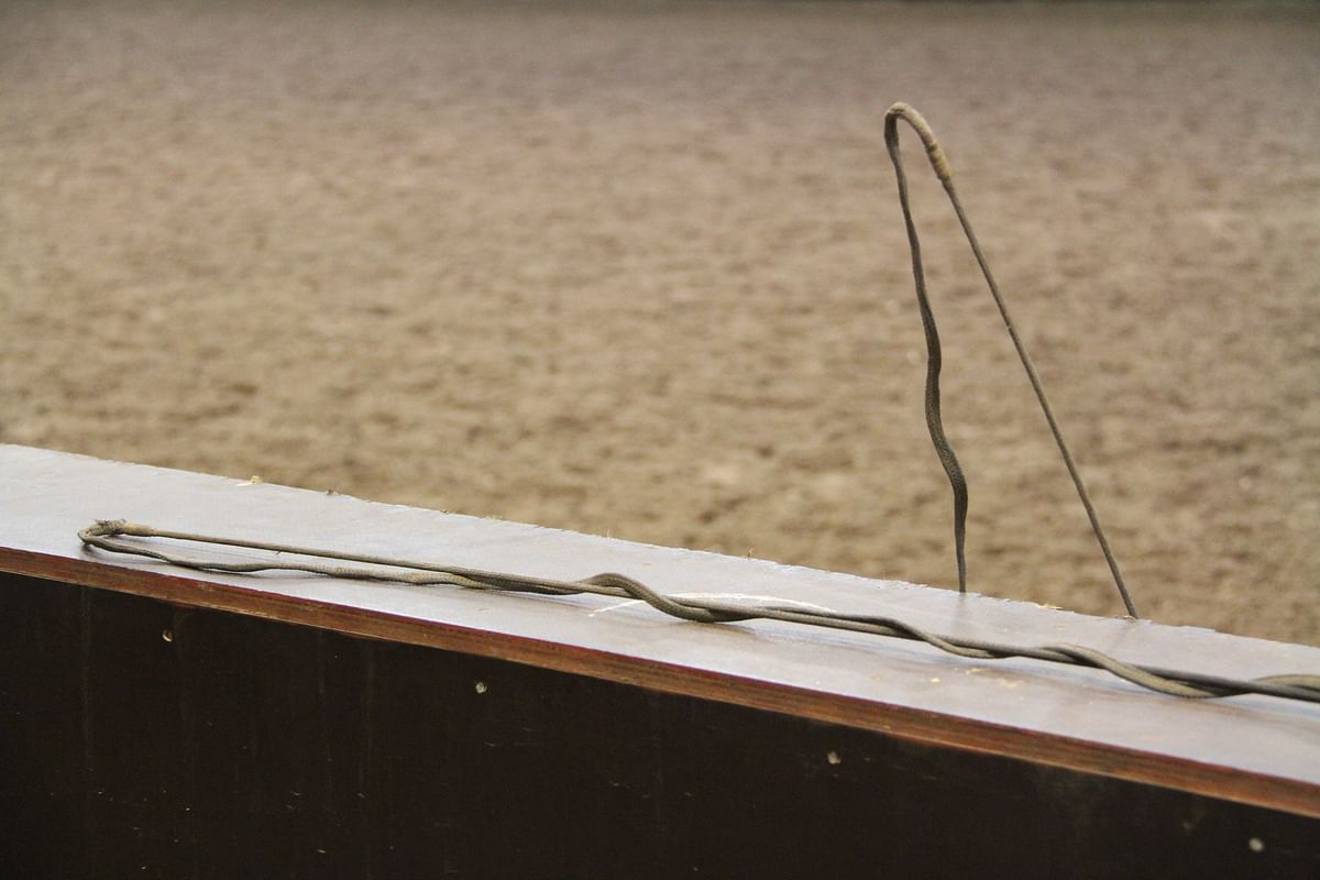 Taas uusi skandaali: kouluratsastaja Cesar Parra menetti kilpailuoikeutensa hevosten huonon kohtelun takia