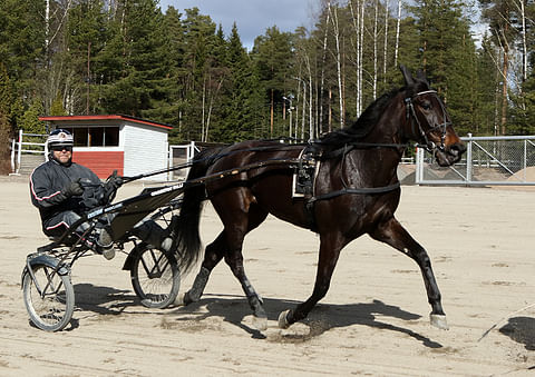 Hermes Bokon omistaja, Oraviston Talli Oy:n takaa löytyvä Tauno Hyriäinen esiteltiin keskiviikon Hevosurheilussa Kuukauden henkilönä.