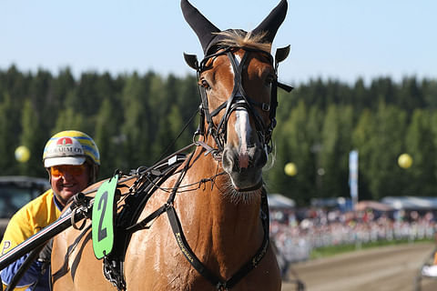 I.P. Vipotiina on viimeisin suomenhevosten Derbyn (2004) voittanut tamma.