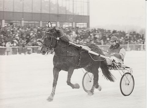 Tarama ja Tuomo Mäkelän tallipoika Timo Nurmos kovan tasoituksen voittajina Vermon kaikkien aikojen viidensissä raveissa 22.1.1978.