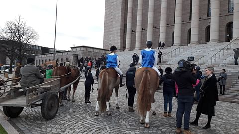 Eduskuntatalon edessä nähtiin jälleen kerran komeita suomenhevosia. Oikealla haastattelussa kansanedustaja Susanna Koski.