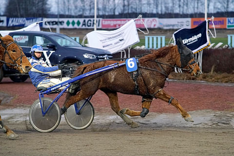 Joulukuussa kahdesti Esa Holopaisen ajamana voittanut Virin Veijari oli maanantaina ylivoimainen.