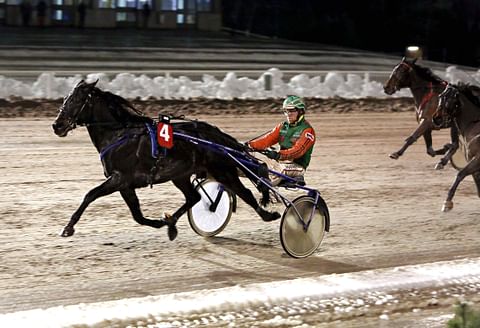 Atupem kuuluu nimekkäimpiin hevosiin, jotka on asetettu osittaiseen kilpailukieltoon koskien Suomessa syntyneiden lähtöjä. Kuva: Pekka Salonen.