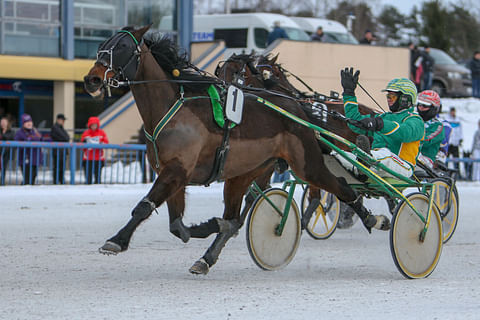 Erkki-Pekka Mäkisen luotsaama Al E.Gador Zet voitti toiseksi pelatuimpana.