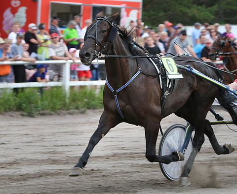 Bakels Birdland on Hevosurheilun ideavarma lauantaina Vieremälle.