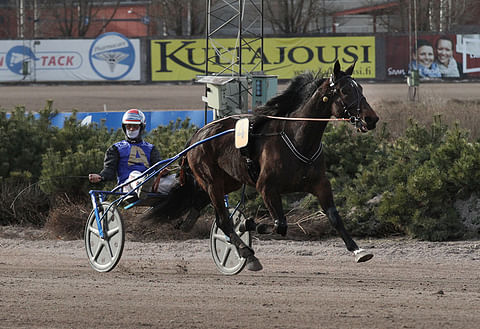 Toto76-pelin päätöskohteen voittajan Starzinnerin tyylinäyte oli paljonpuhuva, ja voitto merkitsi paljon myös Iikka Nurmoselle. 2100 metrillä syntyi aika 12,9a. Kuva: Roosa Lindholm.