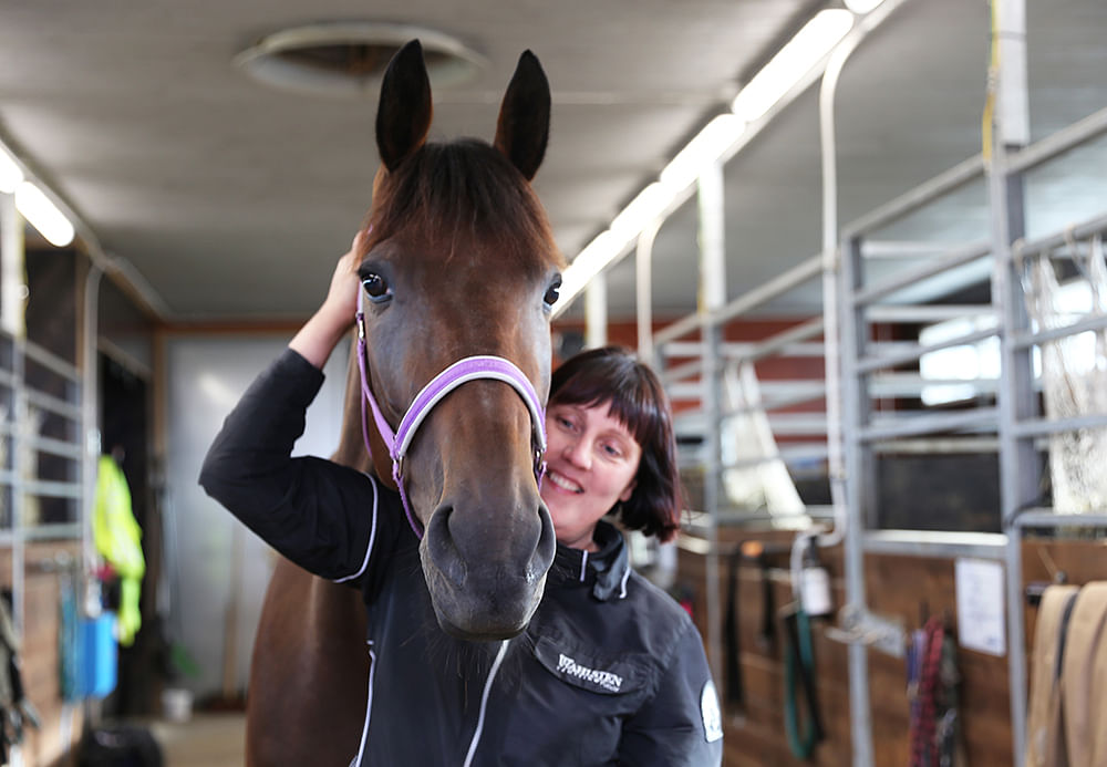 Ranch Kelly venyy ihmesuorituksesta toiseen – Anne Luttisen tamma esitellään Kuukauden hevosena
