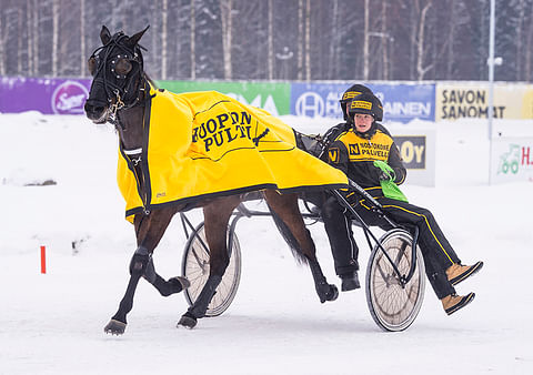 Hevosurheilun Toto5-ideavihje Kuopio: Viihtyy vapaalla radalla