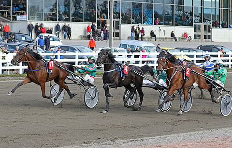 Junnustartti-finaalin kärkikolmikko nähdään myös Hevosenomistajapokaalin loppukilpailussa.