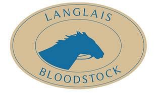 SAS Langlais Bloodstock sijoitti isoja summia avajaisillassa myytyihin ravurivarsoihin.l