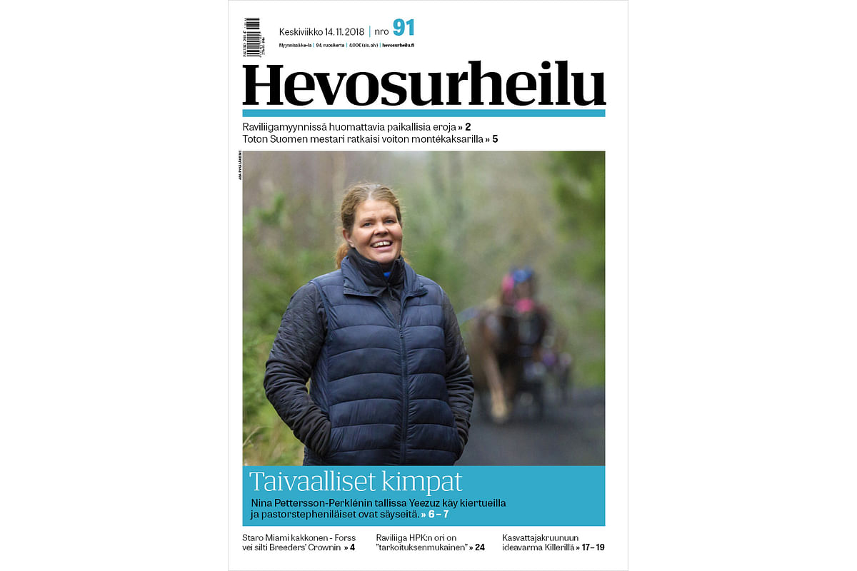 Taivaallisiin hevoskimppoihin innostaja – Nina Pettersson-Perklén mieltyi Pastor Stephenin jälkeläisiin
