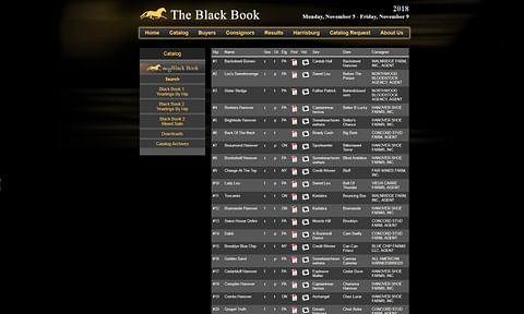 The Black Book -huutokaupan verkkosivun luettelossa riittää selattavaa.