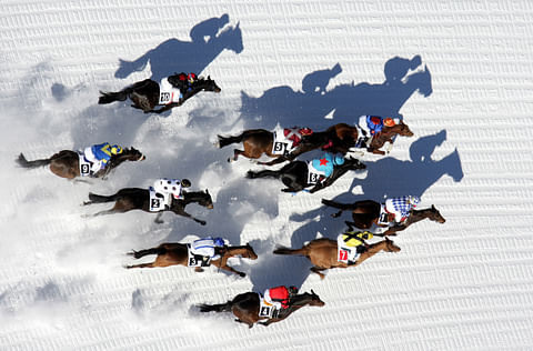 St Moritzin White Turfissa kilpaillaan ravaten laukaten ja suksilla hevosia ajaen. Kuva: White Turf