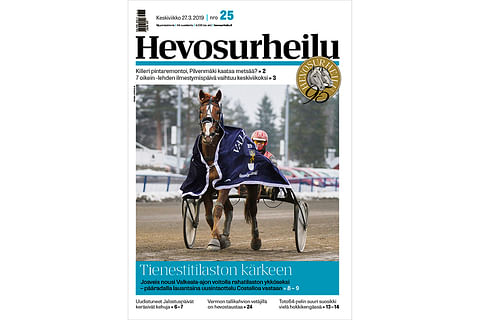 Ruuna Josveis on Valkeala-ajon voitettuaan eniten tällä kaudella kotimaisista ravureista tienannut hevonen. Kannen kuva: Roosa Lindholm.