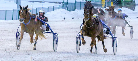 Tammikuussa Jullen Ekon kanssa tiukasti yhteen ottanut I.P. Vapari kukisti Ylivieskassa Toto4-kohteiden pelatuimman hevosen Koverin.
