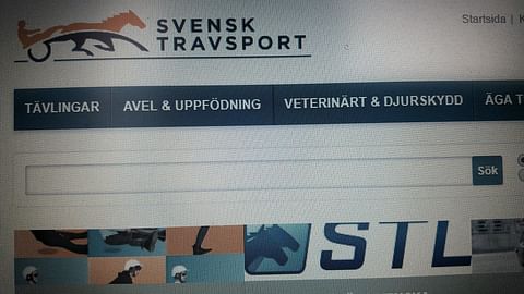 Svensk Travsport vahvistaa, ravit jatkuvat Ruotsissa