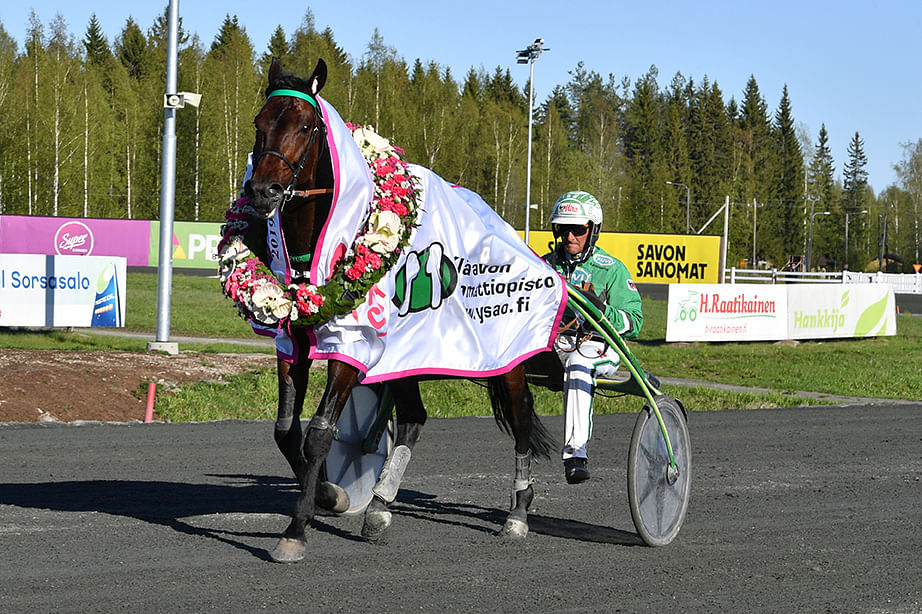 Ari Moilasen ajama Graceful Swamp voitti Kuopio Stakesin viime keväänä.