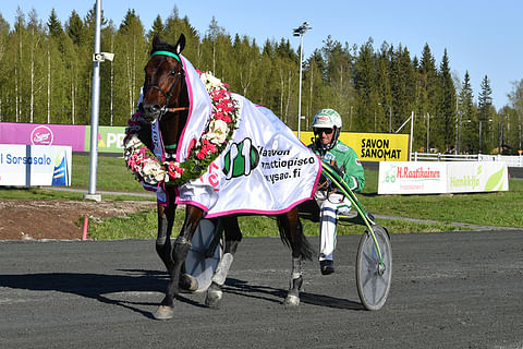 Ari Moilasen ajama Graceful Swamp voitti Kuopio Stakesin viime keväänä.