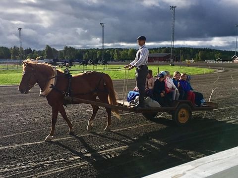 Alakoululaisten hevospäivä järjestetään Metsämäessä nyt kolmatta kertaa. Kuva: Turun Hippos
