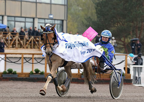 PikkuFinlandian voitto vuonna 2019 toi Miniatyrille roosan piletin eli kutsun Elitloppet-raveihin, Tänä vuonna Elitloppetin ponilähdöt ajetaan omissa poniraveissa 19. kesäkuuta.