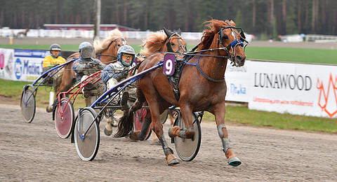 Piispalan Santeri voitti viimeksi Vieremän 75-kierroksella toukokuussa 2019. Jani Ruotsalainen ohjasti.
