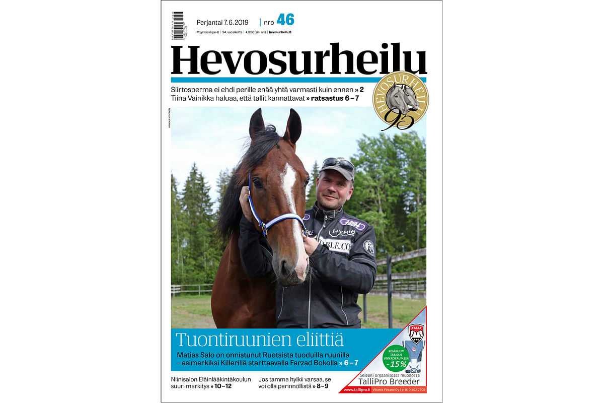 Ruotsista tuodaan hevosia Suomeen ylivoimaisesti eniten