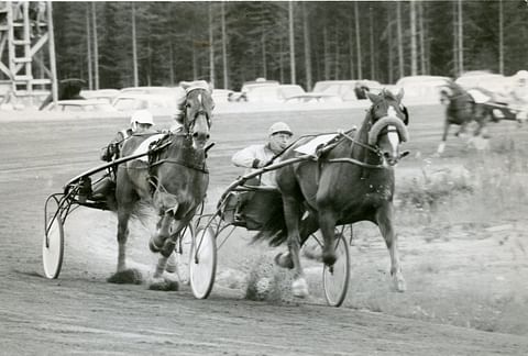 Vieteri (keulassa) voitti urallaan viisi kuninkuutta ja oli ensimmäinen hevonen, joka ylitti miljoonan markan voittosumman.