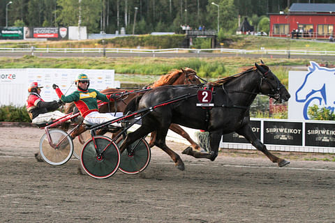 Landen Paukku on juossut 12 kilpailusta 12 voittoa, joukossa Killerin derby. Kuva: Roosa Lindholm.