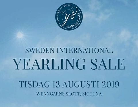 Wenngarnissa myytiin tiistaina 103 varsaa, mikä oli 88% myynnissä olleista. (Kuva: Yearling Sale 2019)