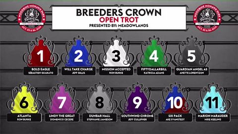 Bold Eagle sai lauantain Breeders Crown -finaaliin numeron 1. (Kuva: Woodbine Mohawk Park)