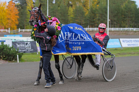 Raskolnikov Frido voitti kriteriumin vuosi sitten 5.10. ja hevonen on taas syksyllä puhjennut kukkaan. Kuva: Roosa Lindholm.