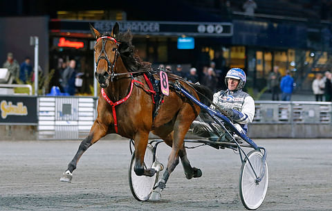 Mascate Matchin edellinen voitto tuli Ruotsin Breeders Crownin karsinnassa Solvallassa.
