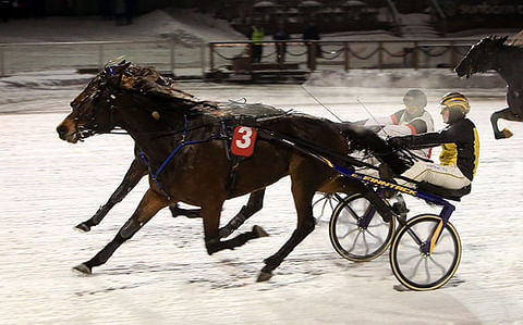 Ensimmäinen viime vuoden seitsemästä voitosta tuli helmikuussa Vermossa Wahlsten Tie Tähtiin -kilpailun osalähdössä Riku M Lindgrenin ajamana.