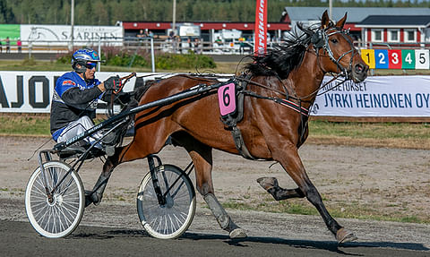 Henri Bollström ajoi Feeling Classyn voittoon elokuussa Ylivieskan Toto75-kierroksella.