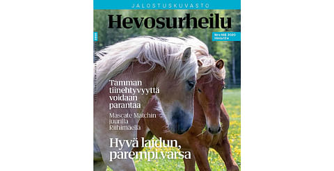 Hevoskasvattajan tärkeä työkalu, Jalostuskuvasto 2020, on ilmestynyt. Kannen kuva: Anu Leppänen.