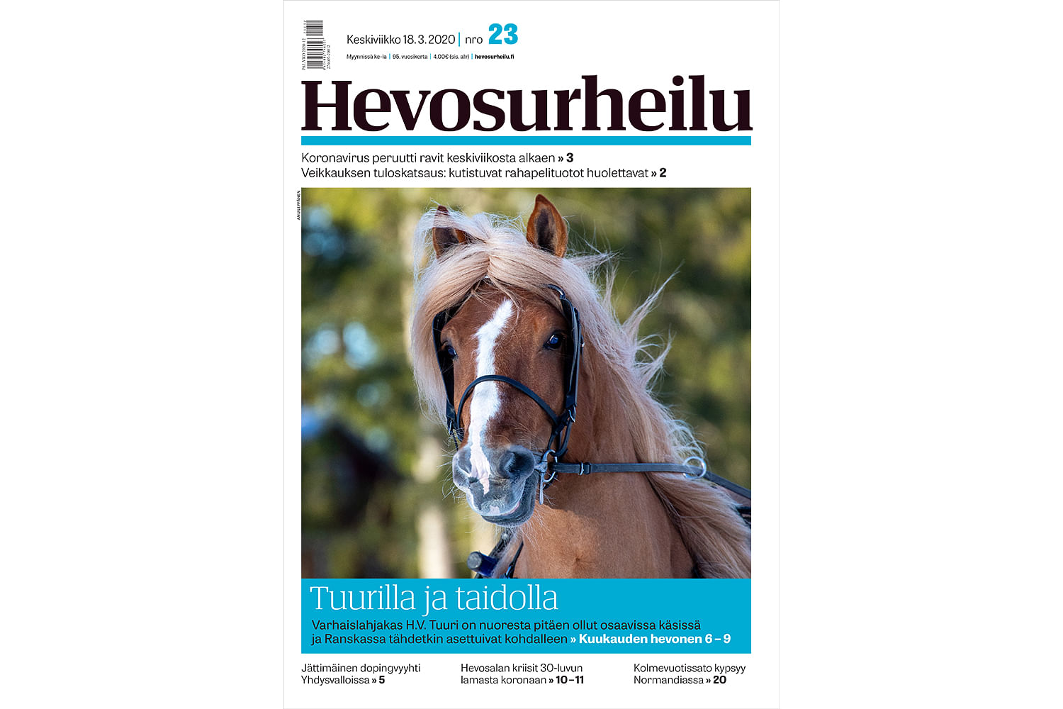 Kuvankaunis H.V. Tuuri on helmikuun Kuukauden hevonen. Kannen kuva: Anu Leppänen