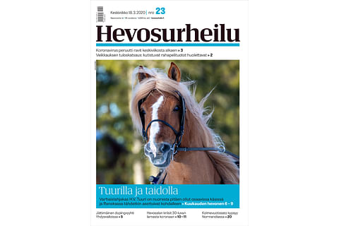 Kuvankaunis H.V. Tuuri on helmikuun Kuukauden hevonen. Kannen kuva: Anu Leppänen