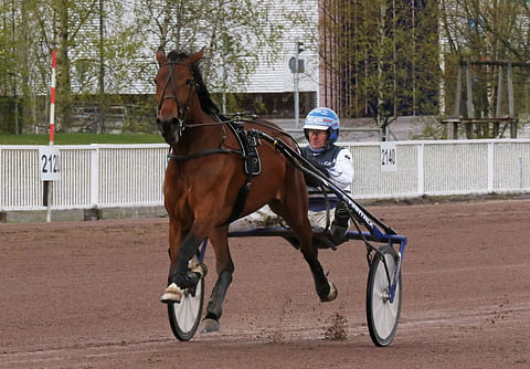 Mascate Match on Kuopio Stakesin suurin tähti.